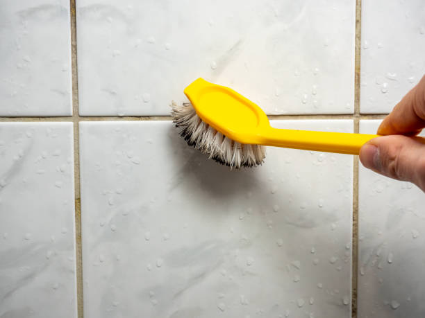 Best Black Mold Removal  in Huachuca City, AZ